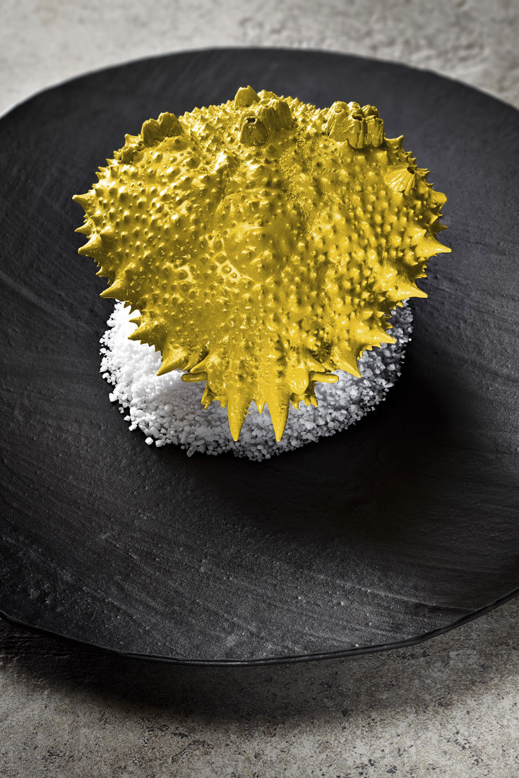 Yellow Spider Crab Recipe - Great British Chefs