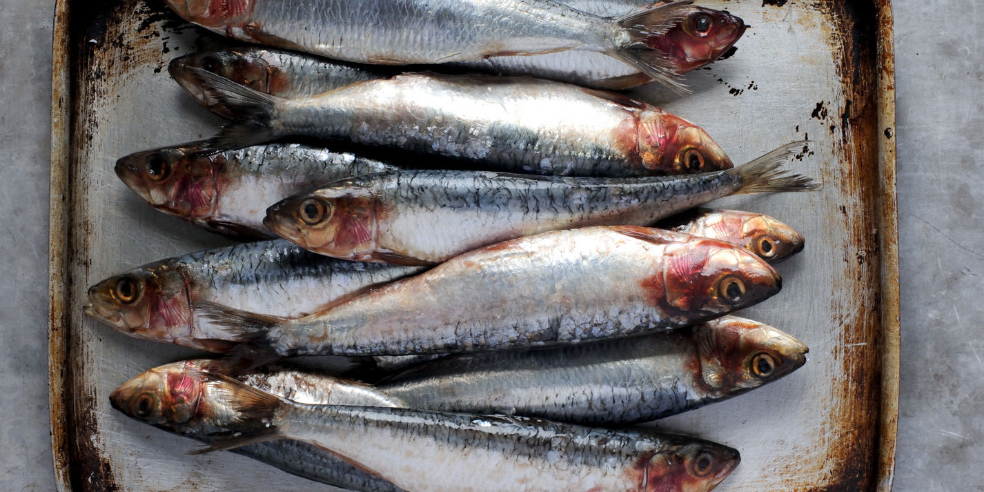 How to Cook Sardines Sous Vide - Great British Chefs