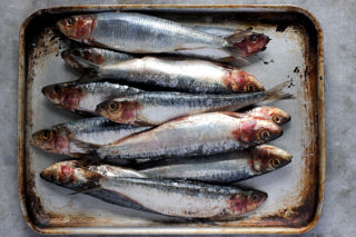 How to cook sardines sous vide