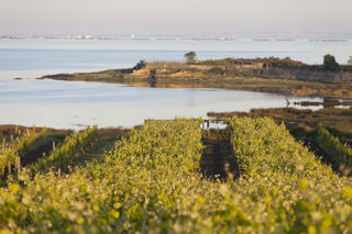 The wine regions of Spain: Rías Baixas