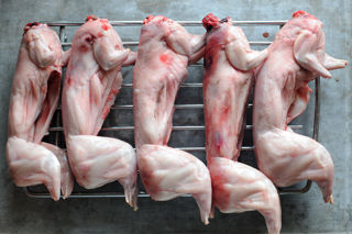How to cook rabbit