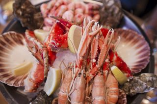 What to eat and drink in northern Norway