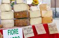 The cheeses of Sardinia