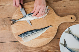 How to fillet a mackerel