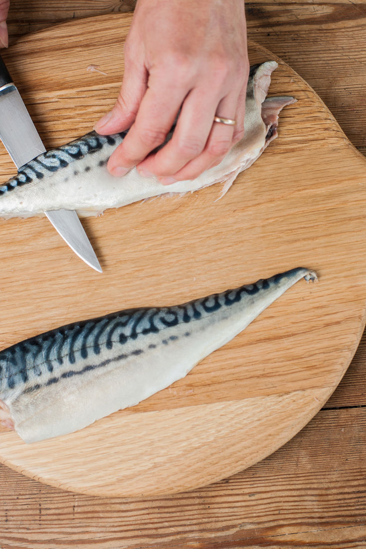 How to Fillet a Mackerel Great Italian Chefs