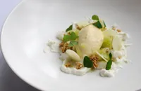 Goat’s curd mousse, tapioca, oat crunch, and Granny Smith apple