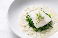 Poached turbot with fennel velouté