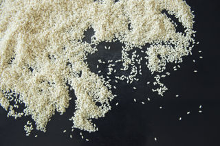 Risotto