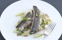 Seared mackerel with chilli, cucumber, spring onion and coriander