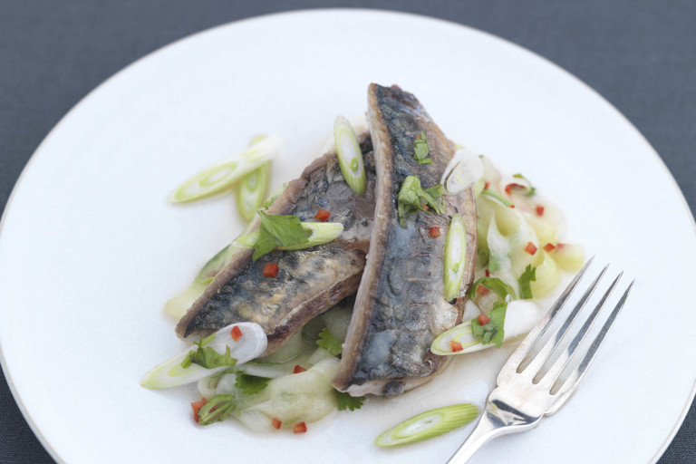 Seared mackerel with chilli, cucumber, spring onion and coriander