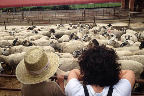 Welcome to the farm: Catalonia’s food-filled festival