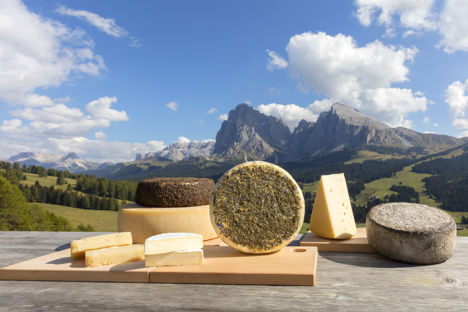 The cheeses of South Tyrol