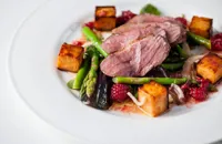 Duck breast salad with asparagus, sweet potato, pickled fennel and raspberry vinaigrette
