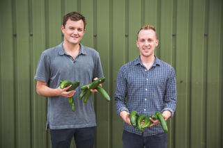 Dash Water: turning wonky veg into wonky water