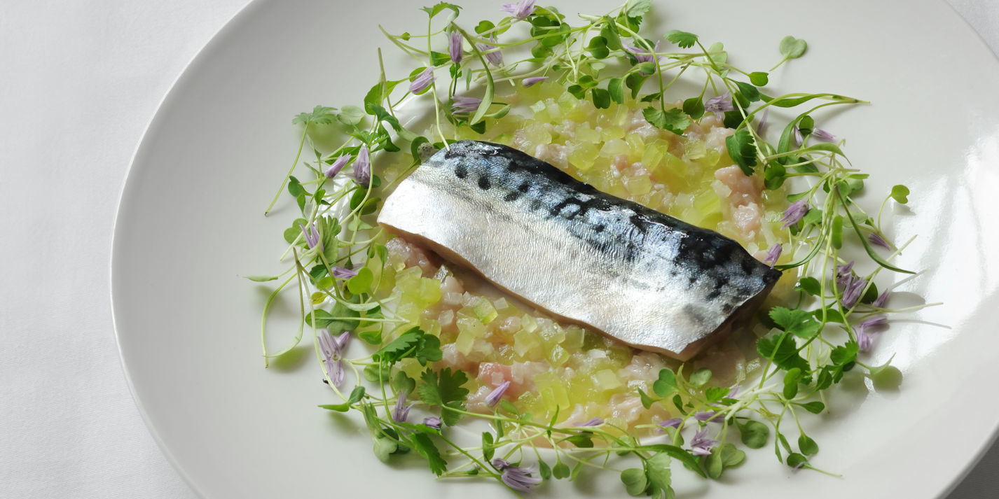 Mackerel Fillet Confit & Lemon Sherbet Dressing - Great British Chefs