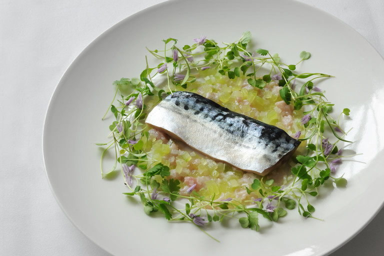 Mackerel confit, cucumber tartare and lemon sherbet dressing