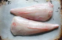 Monkfish recipes
