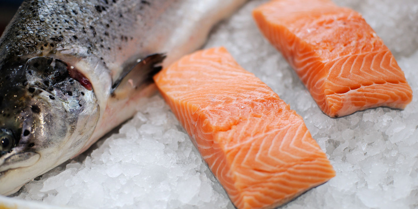 Salmon recipes