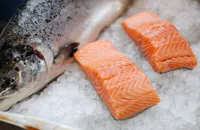 Salmon recipes