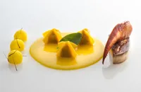 Ravioli with lobster, foie gras, potatoes and saffron