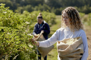 Belvoir Farm: how a homemade elderflower cordial blossomed into something beautiful