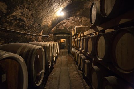 A guide to Croatian wine