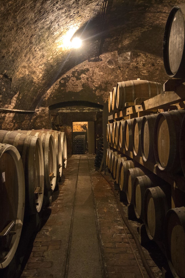 Croatian Wine Guide Great British Chefs