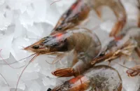 How to barbecue prawns