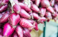 Italy's red queen: the Tropea onions of Calabria