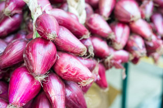 Italy's red queen: the Tropea onions of Calabria