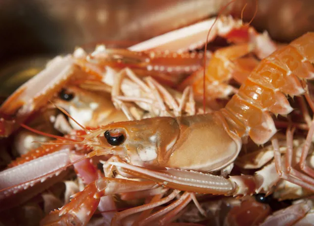 How to cook langoustine
