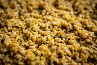 Freekeh: the smoky star of ancient grains