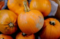 How to cook pumpkin sous vide
