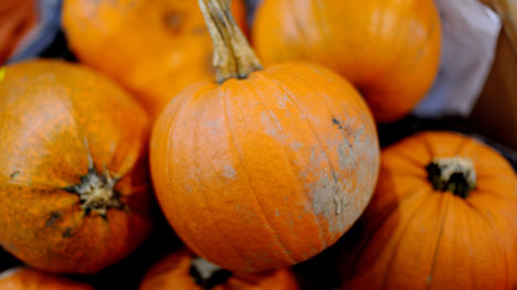 How to cook pumpkin sous vide