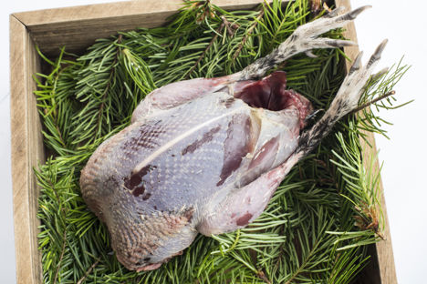 How to cook grouse