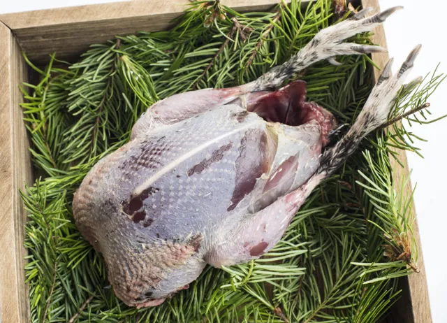 How to cook grouse