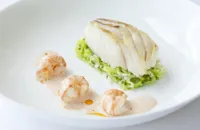 Roasted Alaska halibut with buttered leeks and langoustine bisque sauce