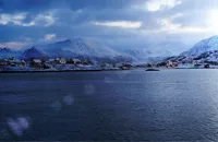 Skrei: Norway’s jewel of the sea