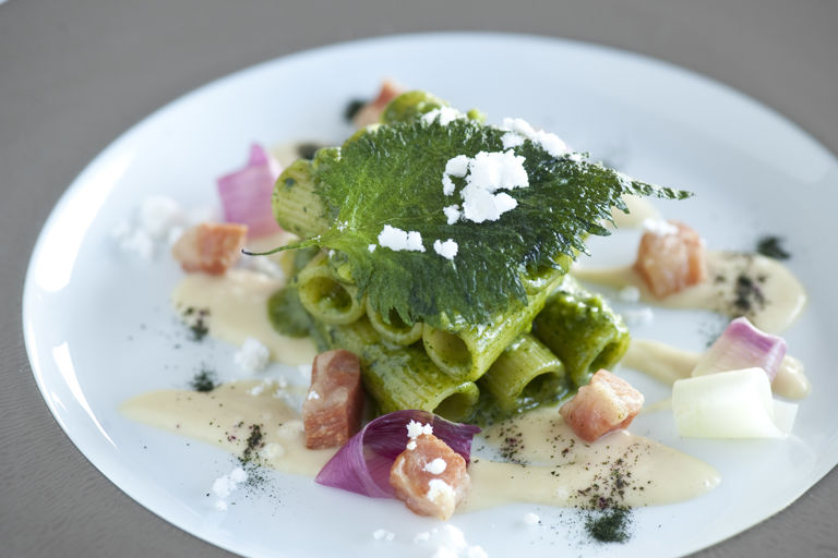Rigatoni with shiso pesto, guanciale and Amatriciana sauce