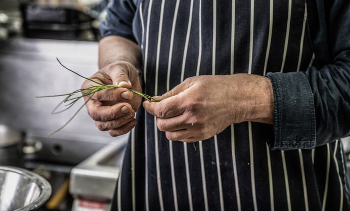 Cuttlefish, Monk's Beard, and Fennel Salad Recipe - Great British Chefs