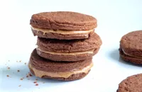 Chocolate peanut butter sandwich cookies