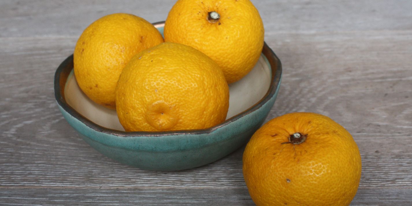 Yuzu recipes
