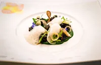 Snails served on a coulis of watercress with garlic crisps