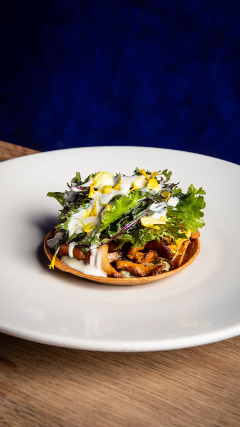 Girolle buckwheat tart and Comté sauce recipe reel