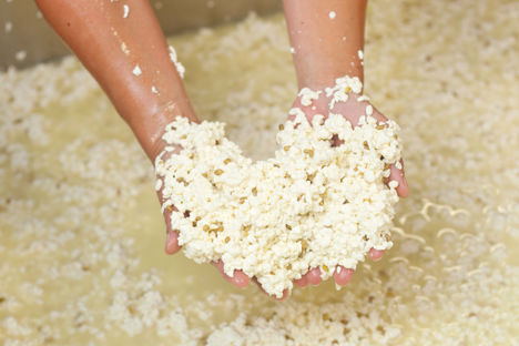 Curds and whey: how cheese is made