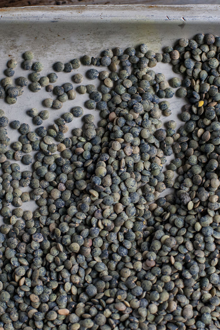 How to Cook Lentils - Great British Chefs