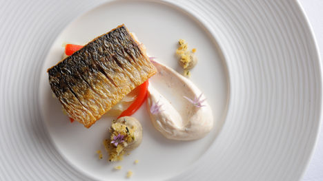 How to pan-fry mackerel fillets