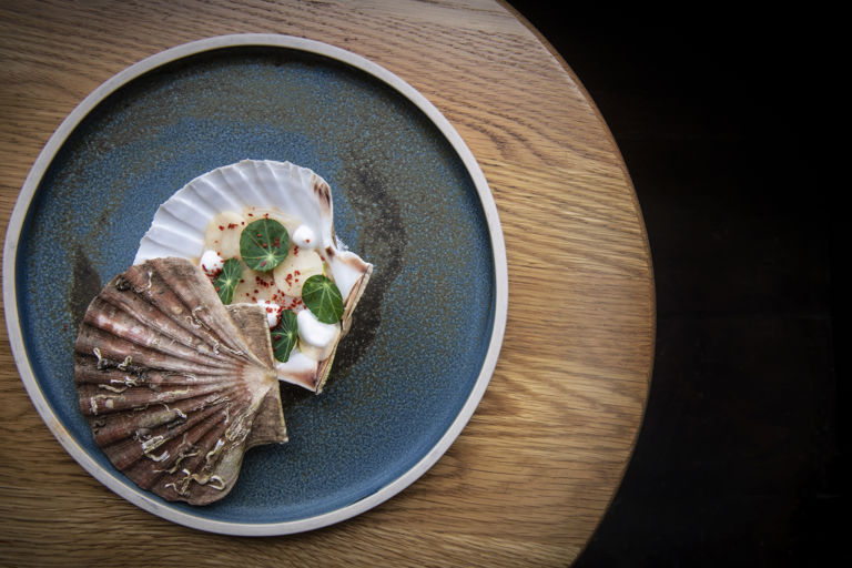 Raw Orkney scallop with green apple, coconut and nasturtium