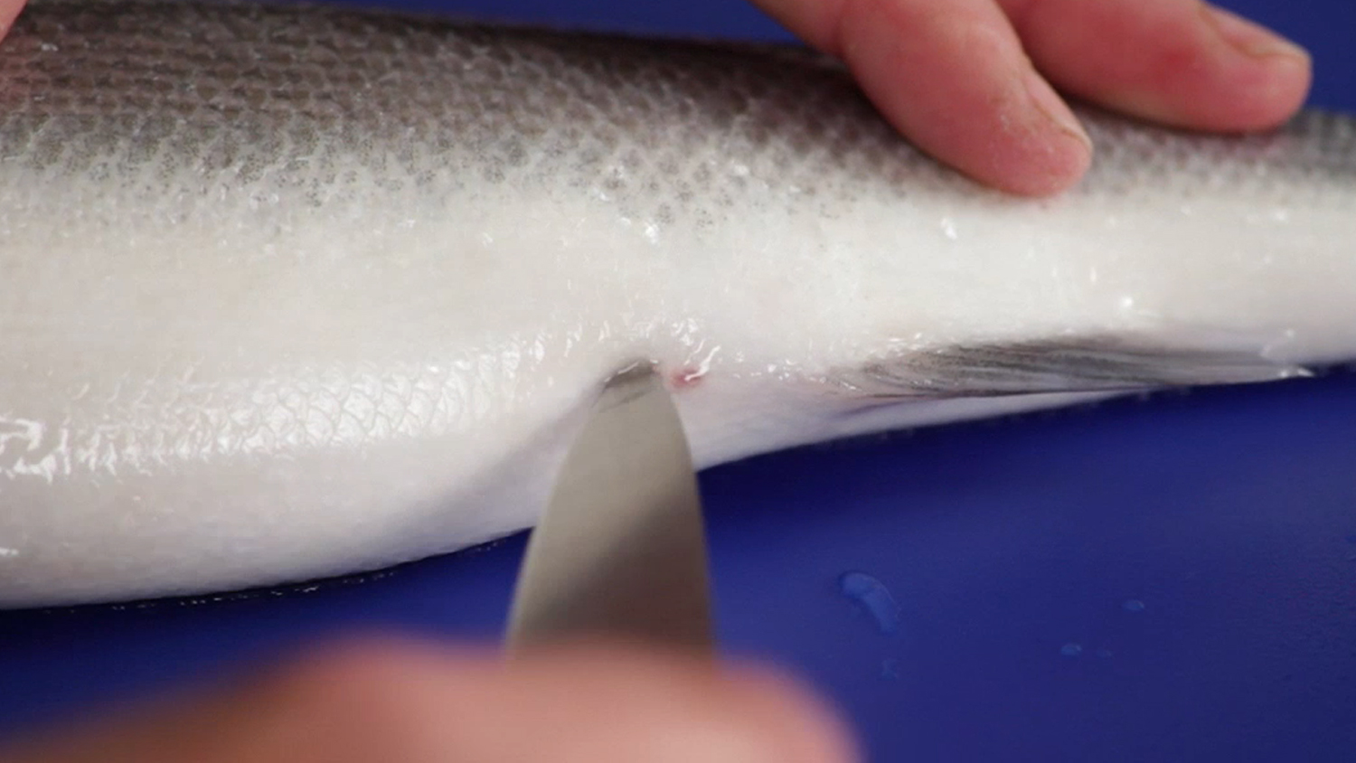 How to Gut Fish - Great British Chefs