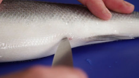 How to gut a fish